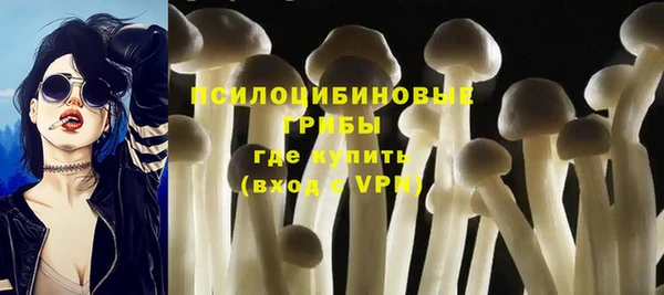 apvp Бронницы
