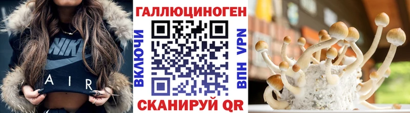 Галлюциногенные грибы Psilocybine cubensis  это Telegram  Афипский  что такое  